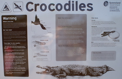 panneau croco